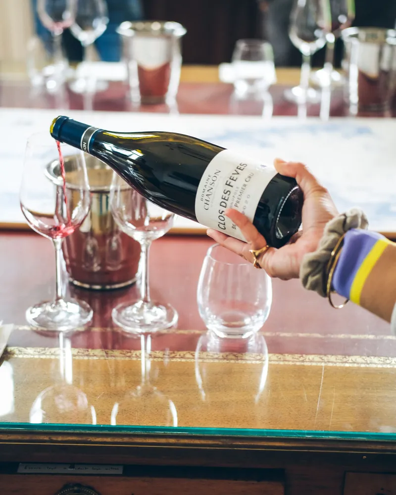 Degustazione guidata
